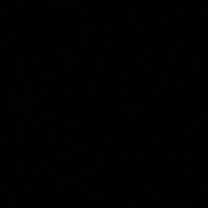 Meet your Posher, Lilliana